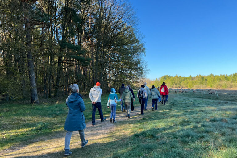 Erhellende Momente bei der Vogelstimmen-Wanderung